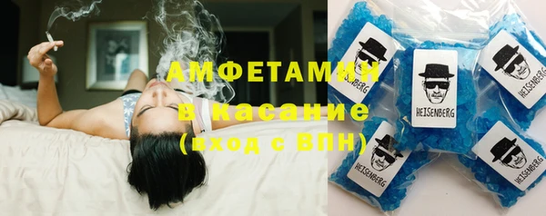 твердый Вяземский