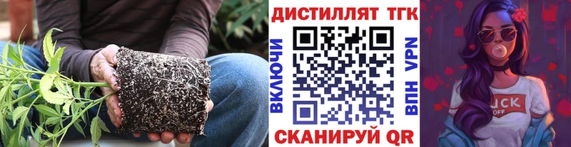 Купить  Фрязино  ТГК гашишное масло 